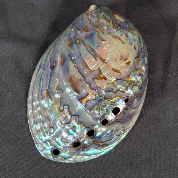 Opalized Abalone Shell - Picture 3 of 8